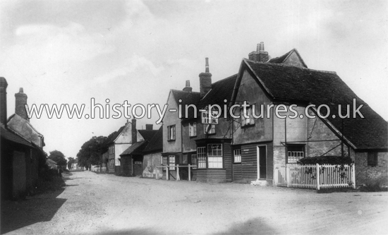 Buttsbury Terrace, Stock, Essex. c.1920's